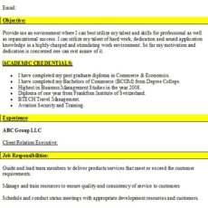 Client Relationship Executive Resume Sample