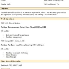 Free Driver Resume Sample