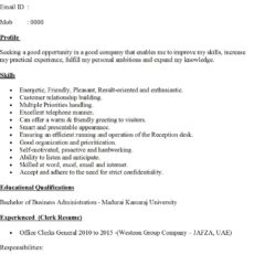 Clerk Resume Samples