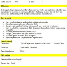 English Teacher Resume Sample