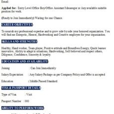 Free Office Boy Resume Sample