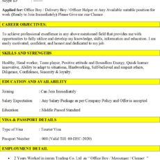 Delivery Boy Resume Sample