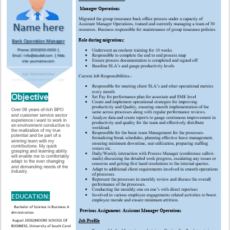Bank Manager Operation Resume Sample