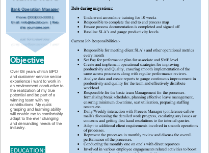 Bank Manager Operation Resume Sample