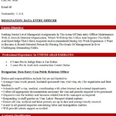 Data Entry Officer Resume Sample
