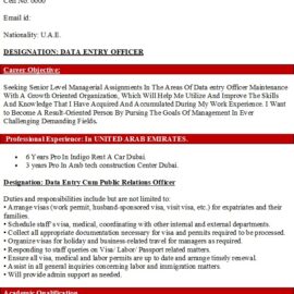Data Entry Officer Resume Sample
