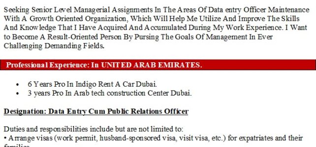 Data Entry Officer Resume Sample