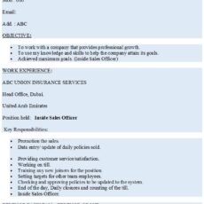 Inside Sales Officer Resume Sample