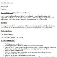 Travel Coordinator Resume Sample