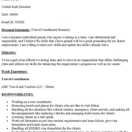 Travel Coordinator Resume Sample