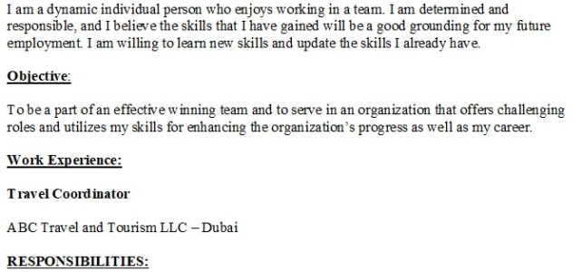 Travel Coordinator Resume Sample
