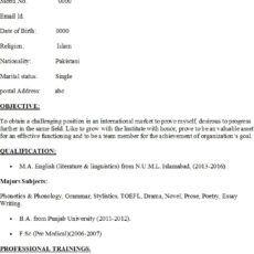 Basic Level English Teacher Resume Sample