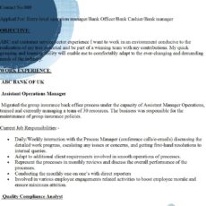 Bank Assistant Operation Manager Resume Sample