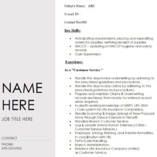 Customer Service Officer Resume Sample