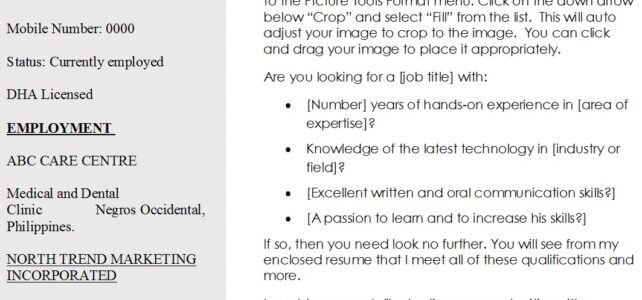 Dentist Doctor Resume Sample Dentist Doctor Resume Sample