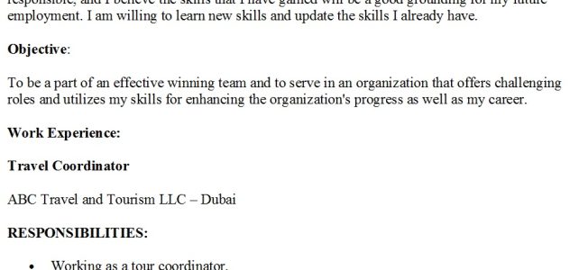 Travel Agent Resume Sample