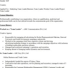 Team Leader Resume Sample