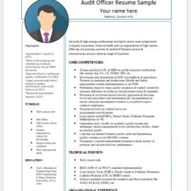 Audit Officer Resume Sample