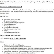 Marketing Manager Resume Sample