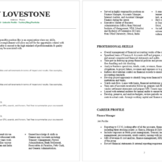 Finance & Relationship Manager Resume Sample