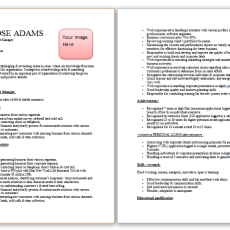 Health Insurance Manager Resume Sample