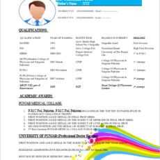 Entry Level Doctor Resume Sample