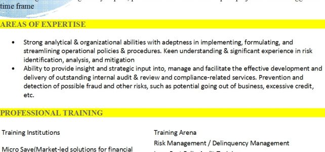 Risk Officer Resume Sample