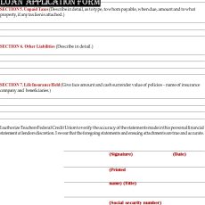 Business Loan Application Form Sample