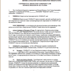 Separation Agreement Template | Editable, Download Templates Separation Agreement Template | Editable, Download Templates
