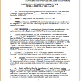 Separation Agreement Template | Editable, Download Templates